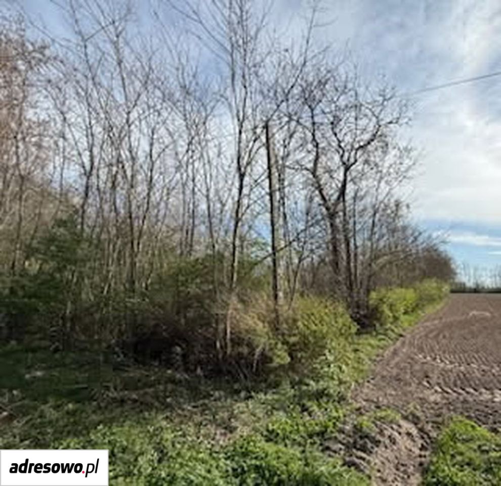 Działka rolno-budowlana Kwiatkowice-Kolonia. Zdjęcie 4