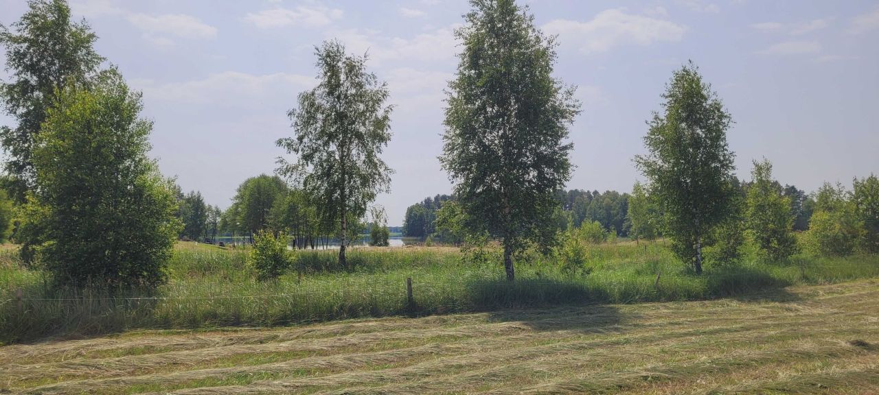 Działka rolna Dobra Wola. Zdjęcie 6