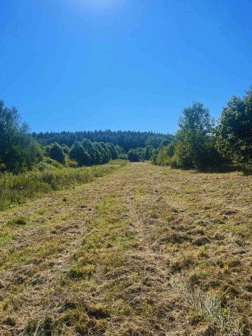 Działka rolno-budowlana Chęciny. Zdjęcie 1