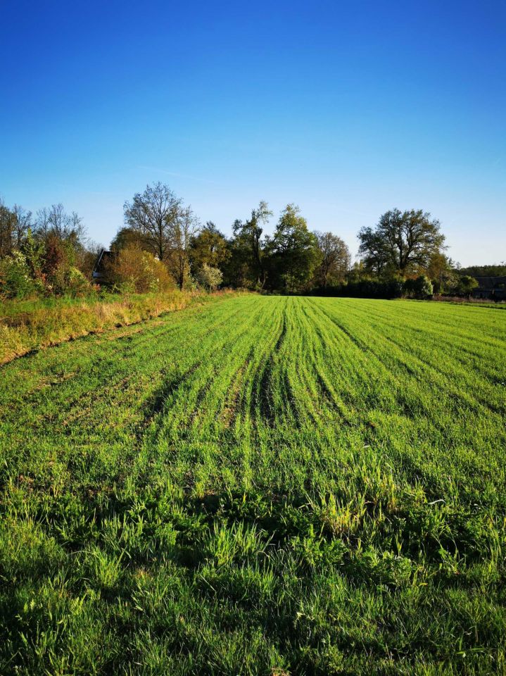 Działka budowlana Górka. Zdjęcie 4