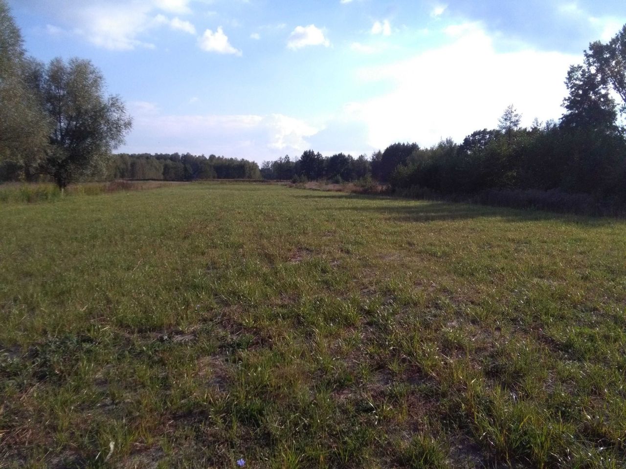 Działka budowlana Kołaków. Zdjęcie 4