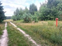 Działka budowlana Szymanówek. Zdjęcie 3