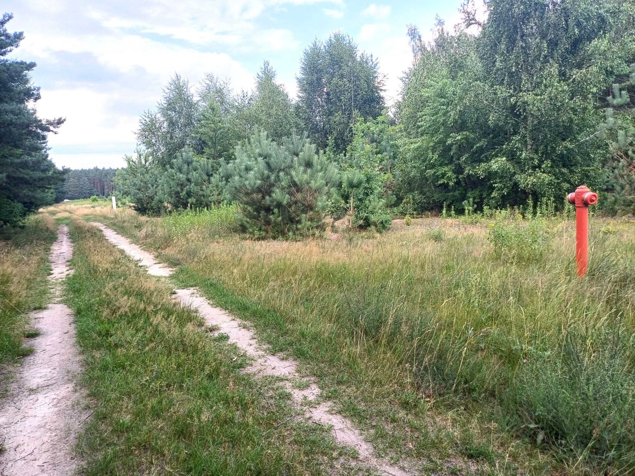 Działka budowlana Szymanówek. Zdjęcie 4