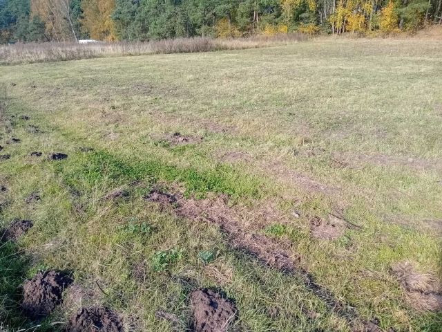Działka budowlana Święta. Zdjęcie 1