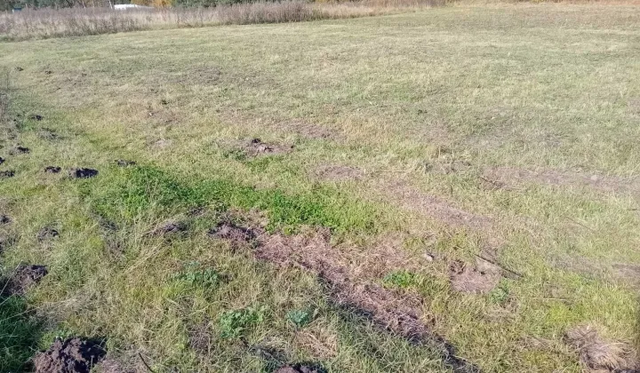 Działka budowlana Święta