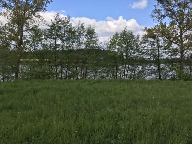 Działka budowlana Orliczko. Zdjęcie 1