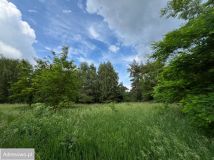 Działka Krosinko. Zdjęcie 3