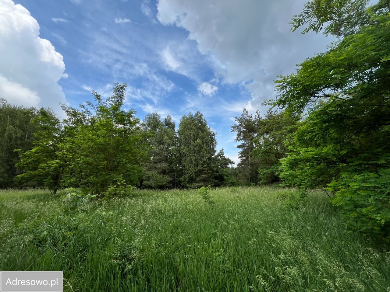 Działka Krosinko. Zdjęcie 4