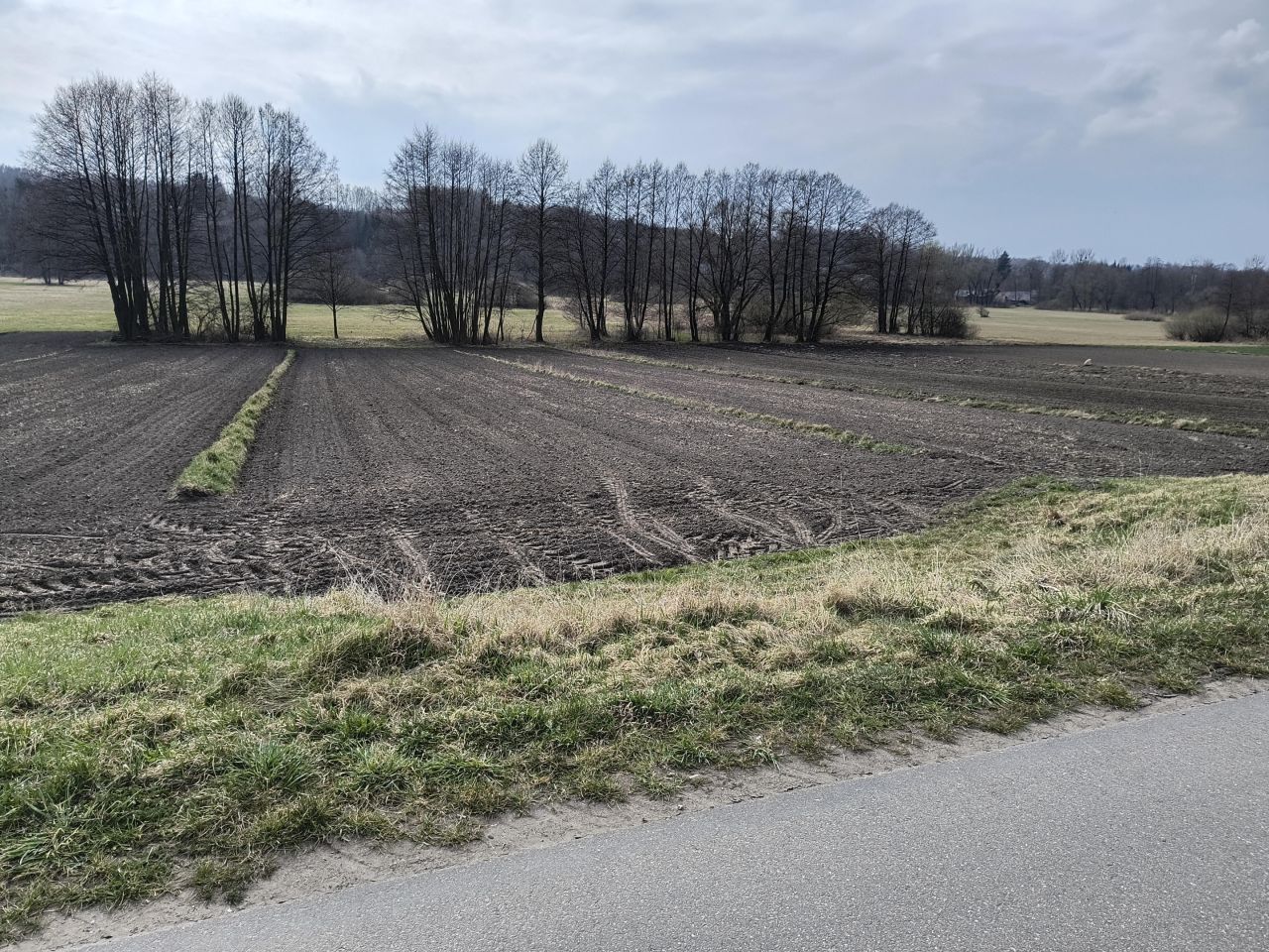 Działka budowlana Rogalów. Zdjęcie 7