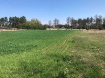 Działka rolno-budowlana Wysokie Koło. Zdjęcie 2