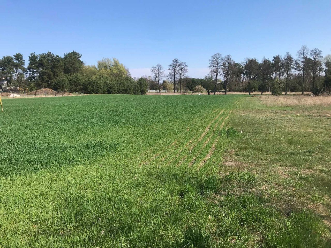 Działka rolno-budowlana Wysokie Koło. Zdjęcie 3