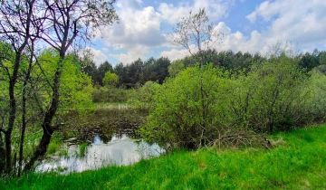 Działka siedliskowa Czarna Woda Lubiki