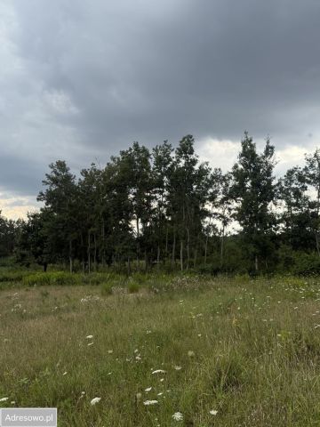 Działka budowlana Głuchowice. Zdjęcie 1