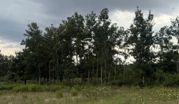 Działka budowlana Głuchowice