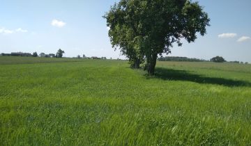 Działka rolno-budowlana Zębowo