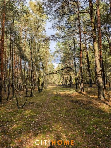 Działka siedliskowa Czarnowiec. Zdjęcie 5