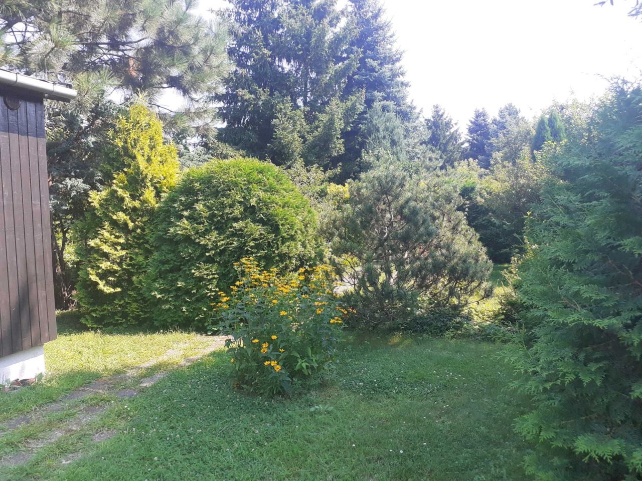 Działka rod Warszawa Białołęka. Zdjęcie 3