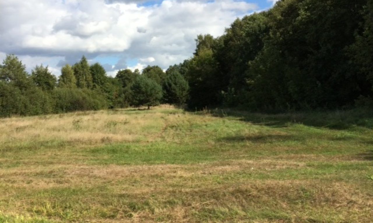 Działka rekreacyjna Ponikiew. Zdjęcie 7