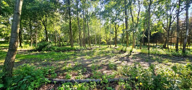 Działka budowlana Mościska. Zdjęcie 12