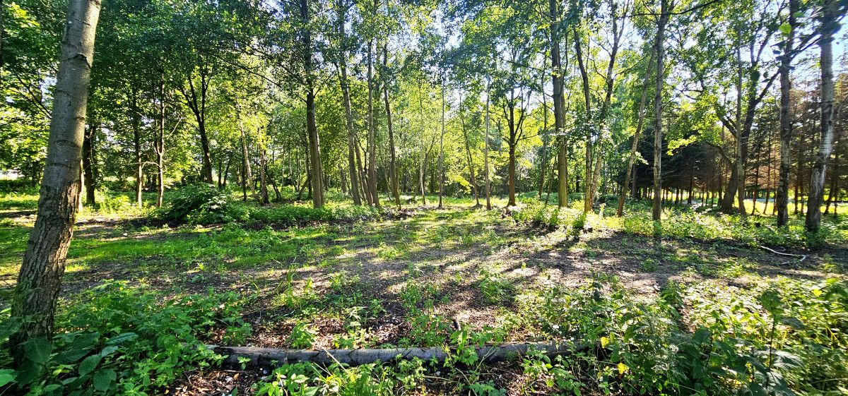 Działka budowlana Mościska. Zdjęcie 12