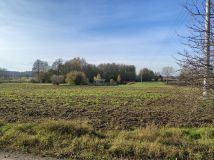 Działka rolna Zaryń. Zdjęcie 1