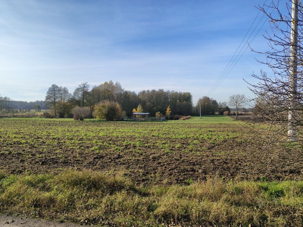 Działka rolna Zaryń. Zdjęcie 2