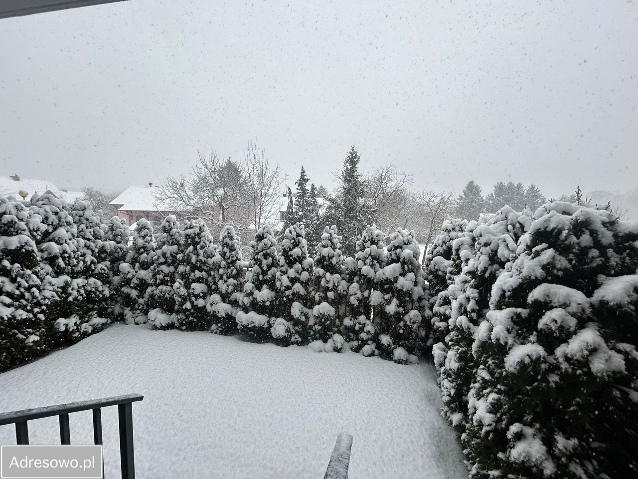 Mieszkanie 4-pokojowe Zielona Góra Centrum, ul. Emilii Plater. Zdjęcie 9