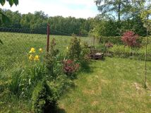 Działka siedliskowa Marianówka. Zdjęcie 1