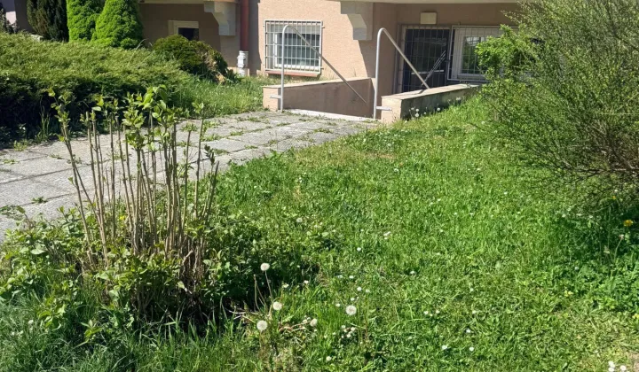 Lokal Krynica-Zdrój