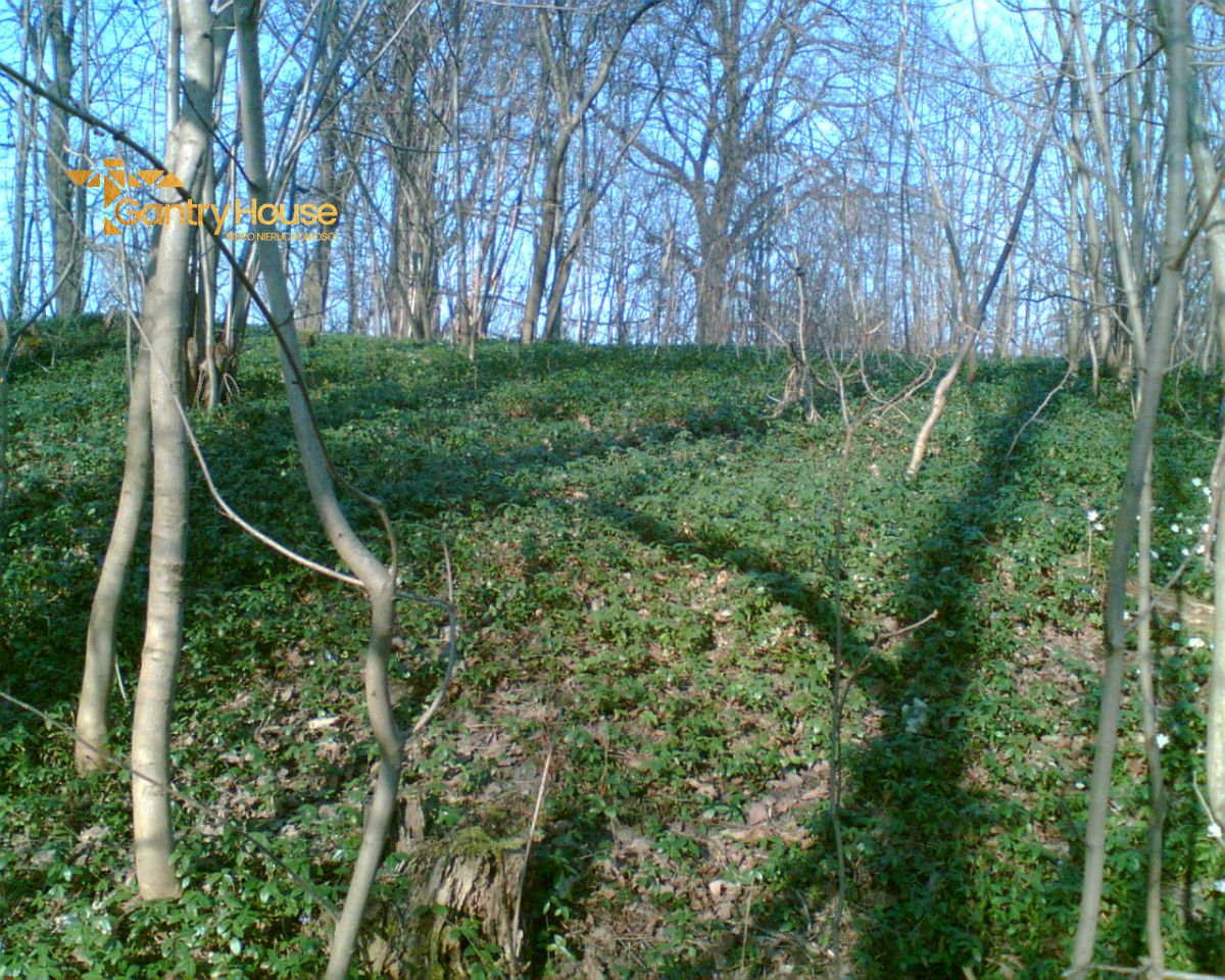 Działka siedliskowa Zastawno. Zdjęcie 9