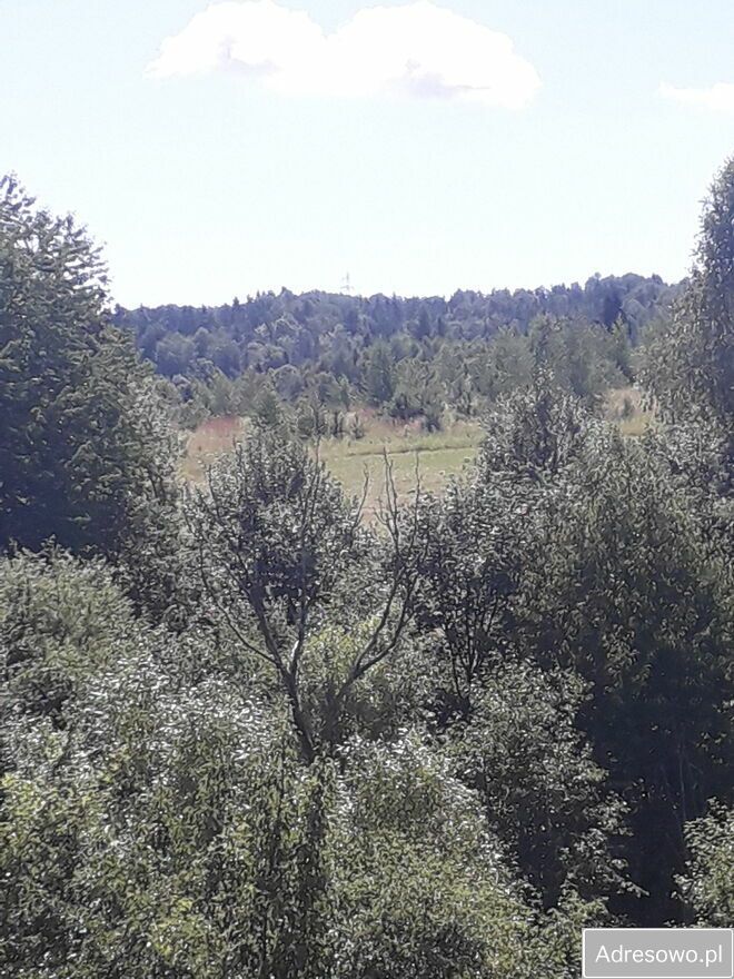 gospodarstwo Leszczawka. Zdjęcie 5