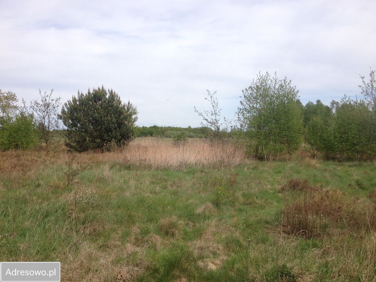 Działka rolna Brzozówka. Zdjęcie 4
