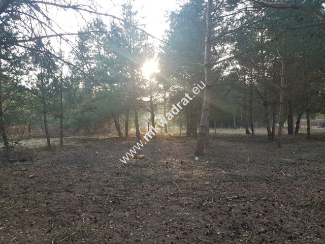 Działka Rozalin. Zdjęcie 6