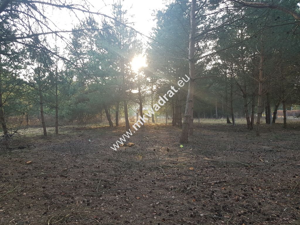 Działka budowlana Rozalin. Zdjęcie 6