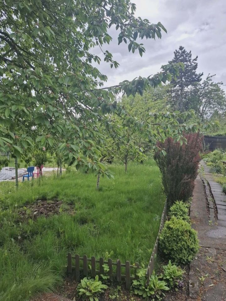 Działka rod Katowice Bogucice, ul. Raciborska. Zdjęcie 3
