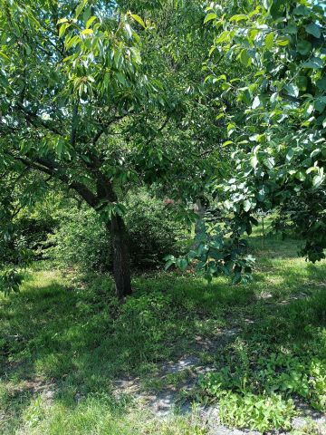 Działka budowlana Brzeźce, ul. Główna. Zdjęcie 11