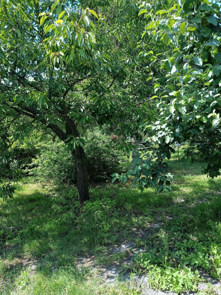 Działka budowlana Brzeźce, ul. Główna. Zdjęcie 11