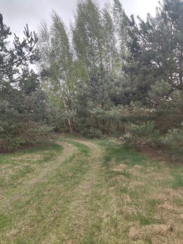Działka rolno-budowlana Podsmardzewo. Zdjęcie 1