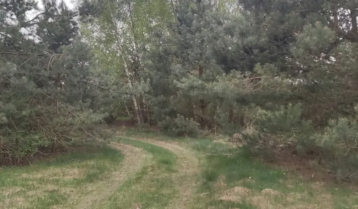 Działka rolno-budowlana Podsmardzewo