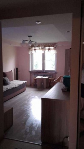 Mieszkanie 3-pokojowe Dobrzyniówka. Zdjęcie 1
