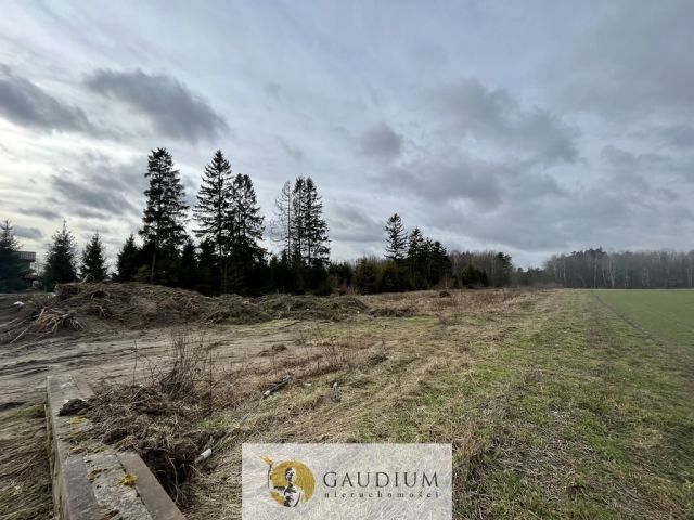 Działka Więckowy. Zdjęcie 2
