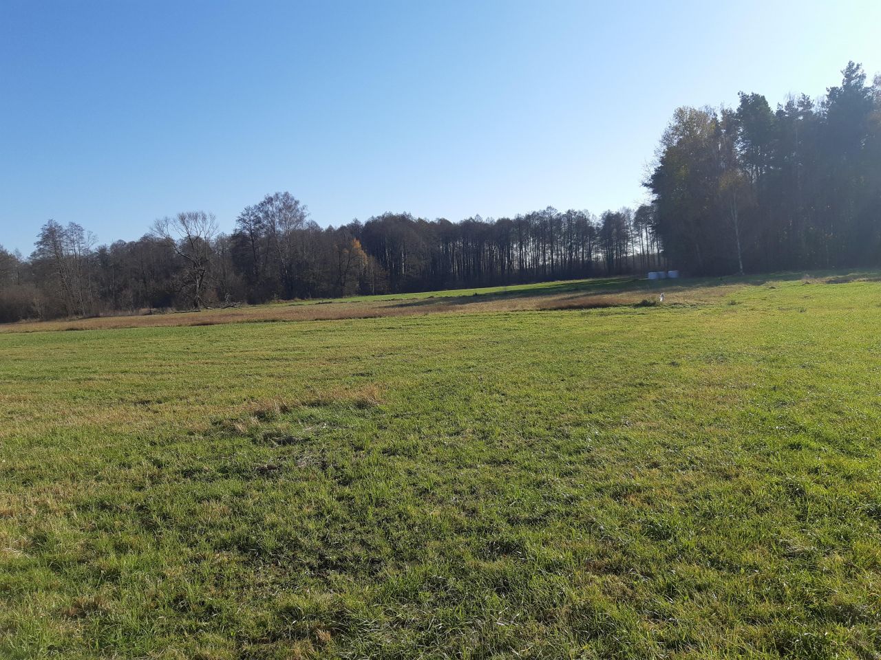 Działka rolno-budowlana Prostyń. Zdjęcie 7