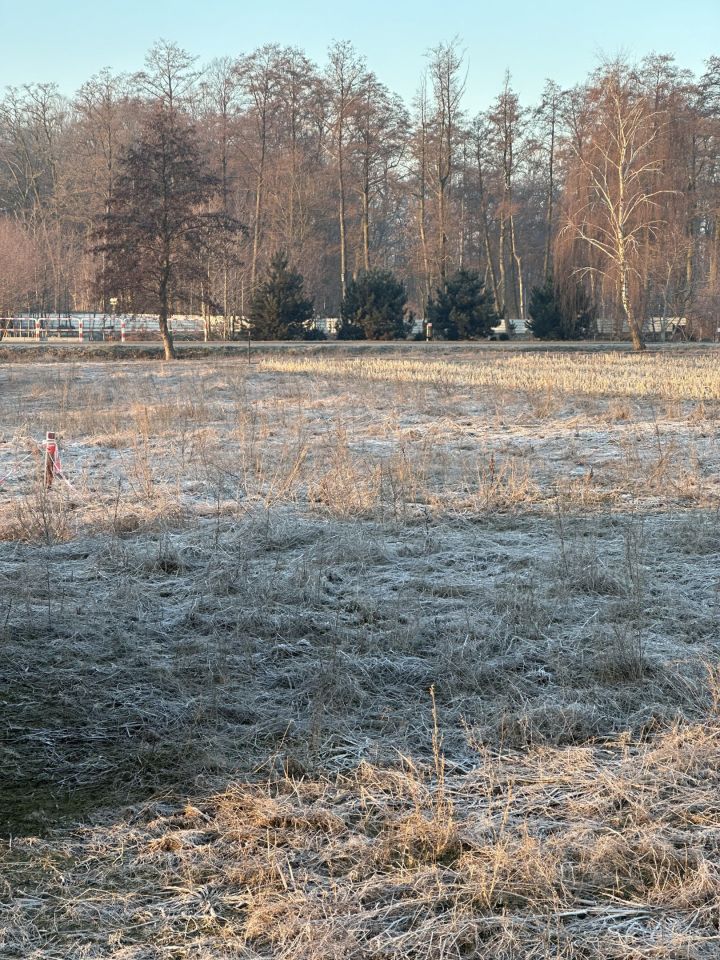 Działka budowlana Broniszewice. Zdjęcie 11