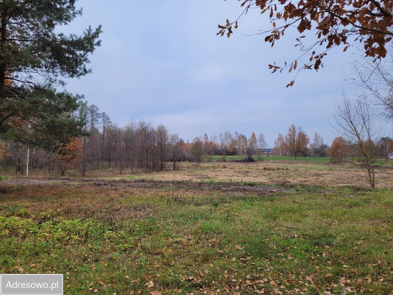 Działka budowlana Kazuń-Bielany, ul. Kampinoska. Zdjęcie 7