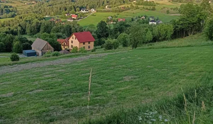 Działka rolno-budowlana Istebna