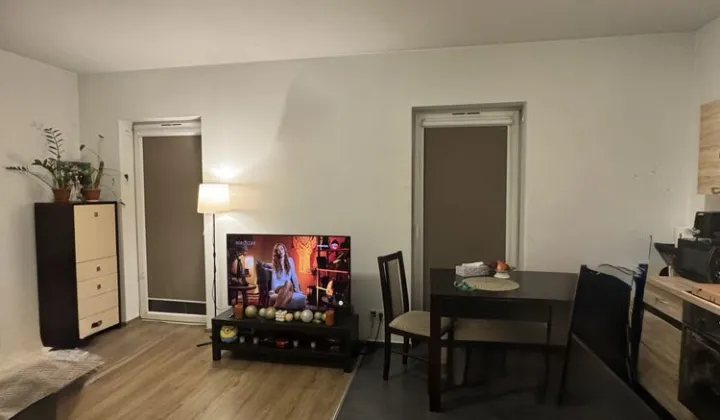 Mieszkanie 1-pokojowe Sosnowiec, ul. Ostrogórska