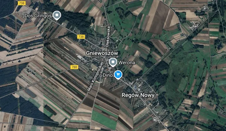 Działka leśna Regów Nowy