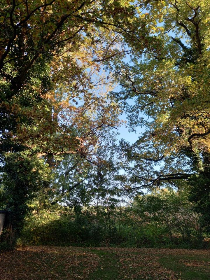 Działka inna Rogów Sobócki, ul. Wrocławska. Zdjęcie 5