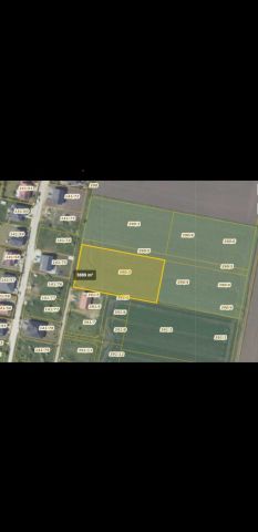 Działka siedliskowa Żerniki Wrocławskie. Zdjęcie 1