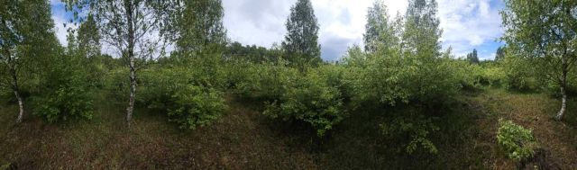 Działka rolna Krępsko. Zdjęcie 1